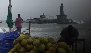 tender cocunut kanyakumari